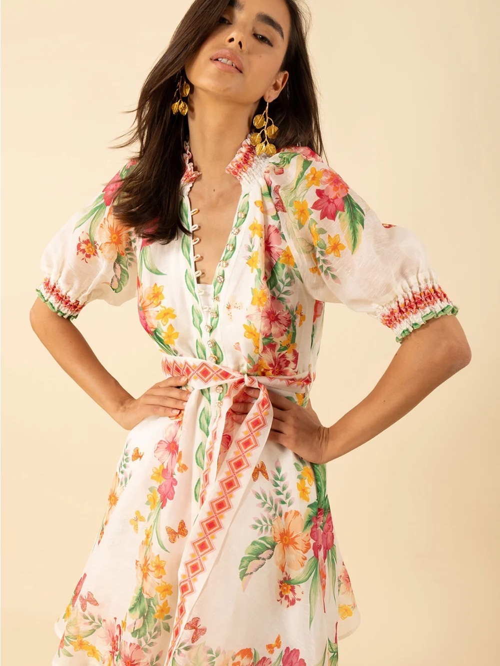 Hale Bob Alaiya organza dress